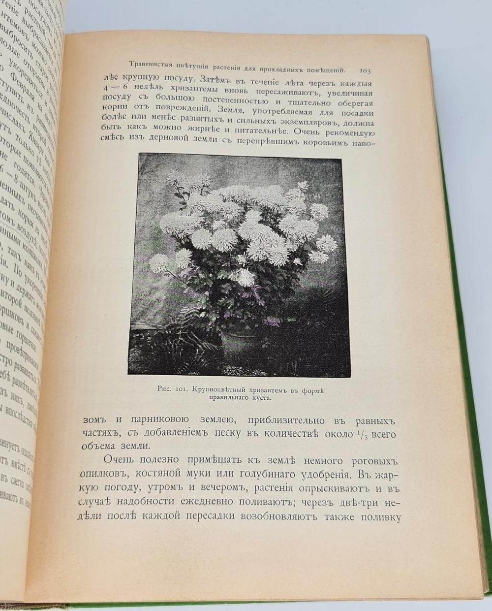"Комнатное садоводство. Уход за комнатными растениями, их выбор и размножение. Приспособление комнат для культуры в них растений. Практическое руководство для любителей и садоводов". Макс Гесдёрфер. 1904г. - антикварное издание