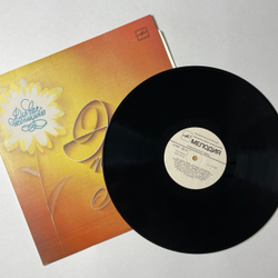 Винтажная виниловая пластинка LP Сборник Эхо Первой Любви (СССР 1984) (Пугачева, Миронов, Мартынов)