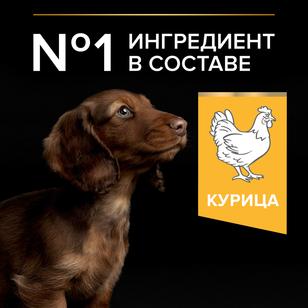 Сухой корм PRO PLAN HEALTHY START для щенков мелких и карликовых пород курица 700 г