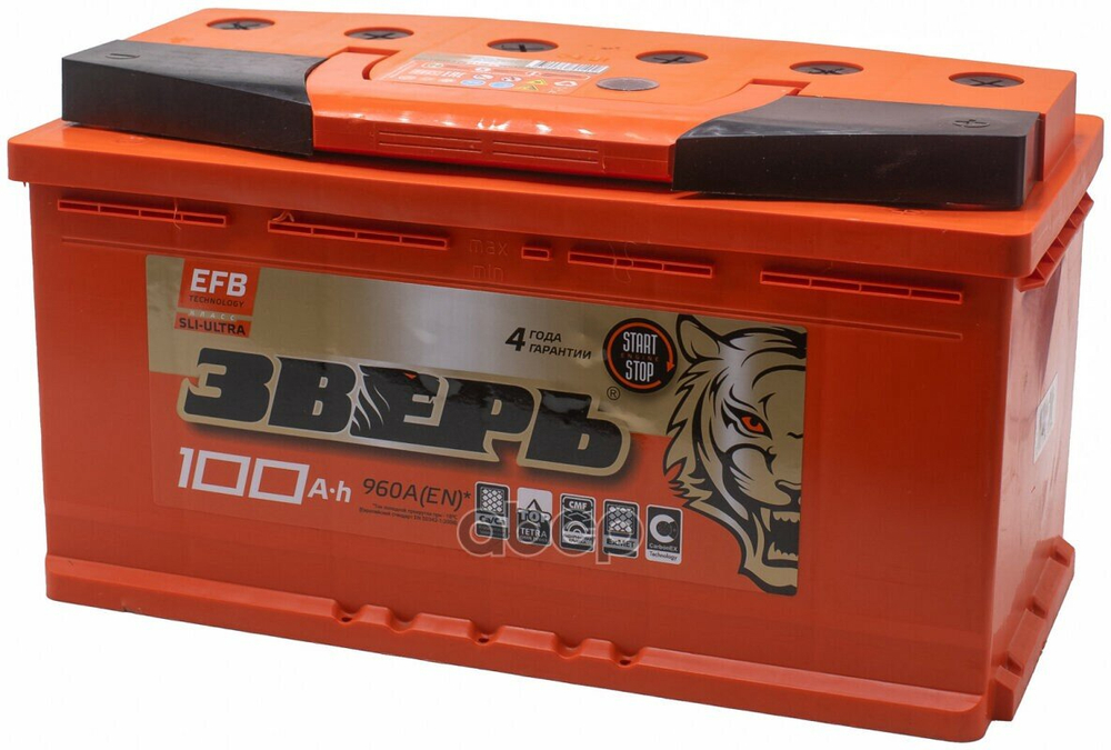 Аккумулятор ЗВЕРЬ EFB 100 А/ч обратный R+ 352x175x190 L5 EN 860 А