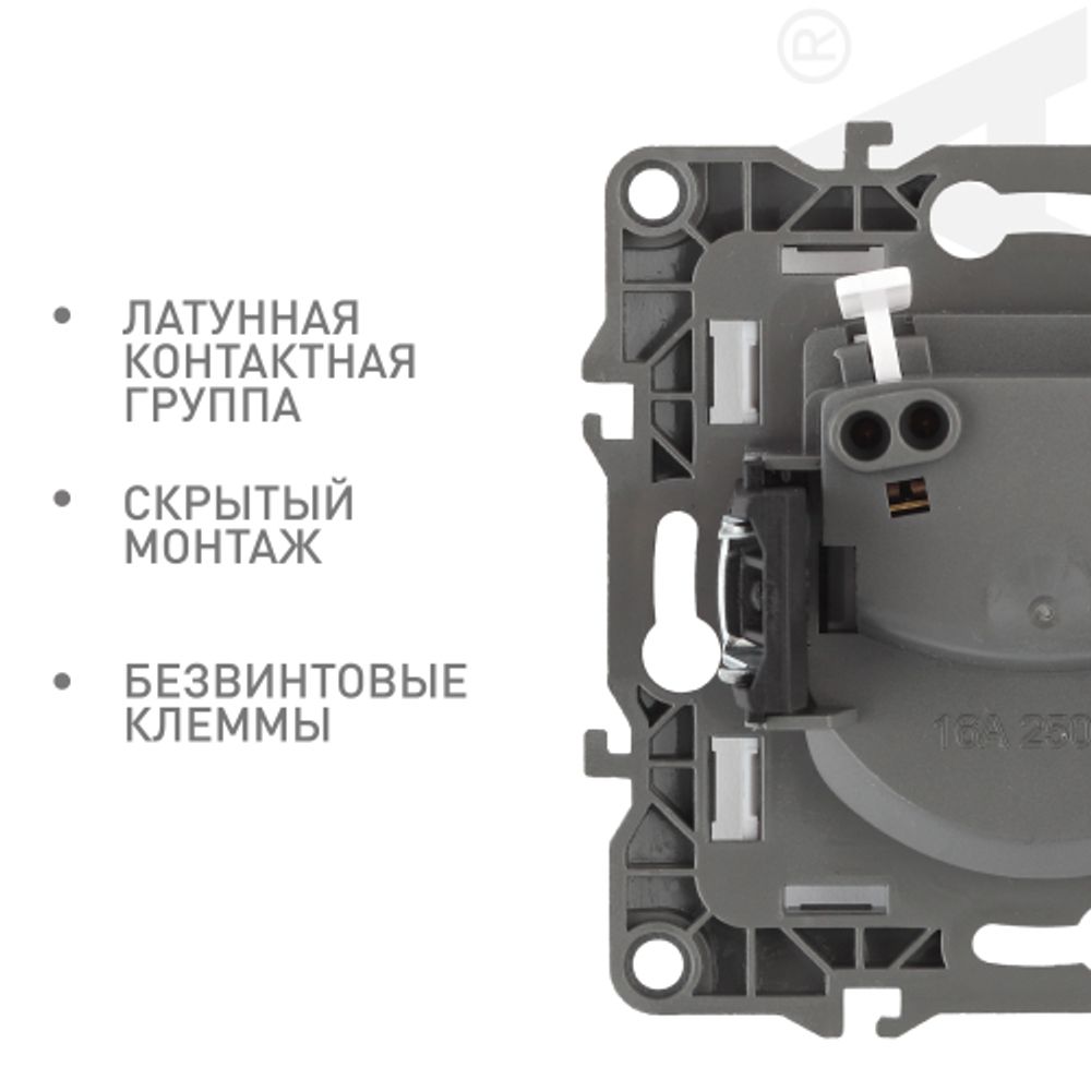 Розетка ЭРА Серия 12 12-2105-04 2P 16A-250В IP20 шампань | Эра 12