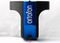 AVM Audio R 2.3 MkII Pre-mounted Cadenza Blue Black