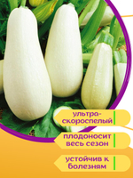 Огурцы китайские жароустойчивые, семена огурцов 0,2 г + семена петрушки или укропа в подарок