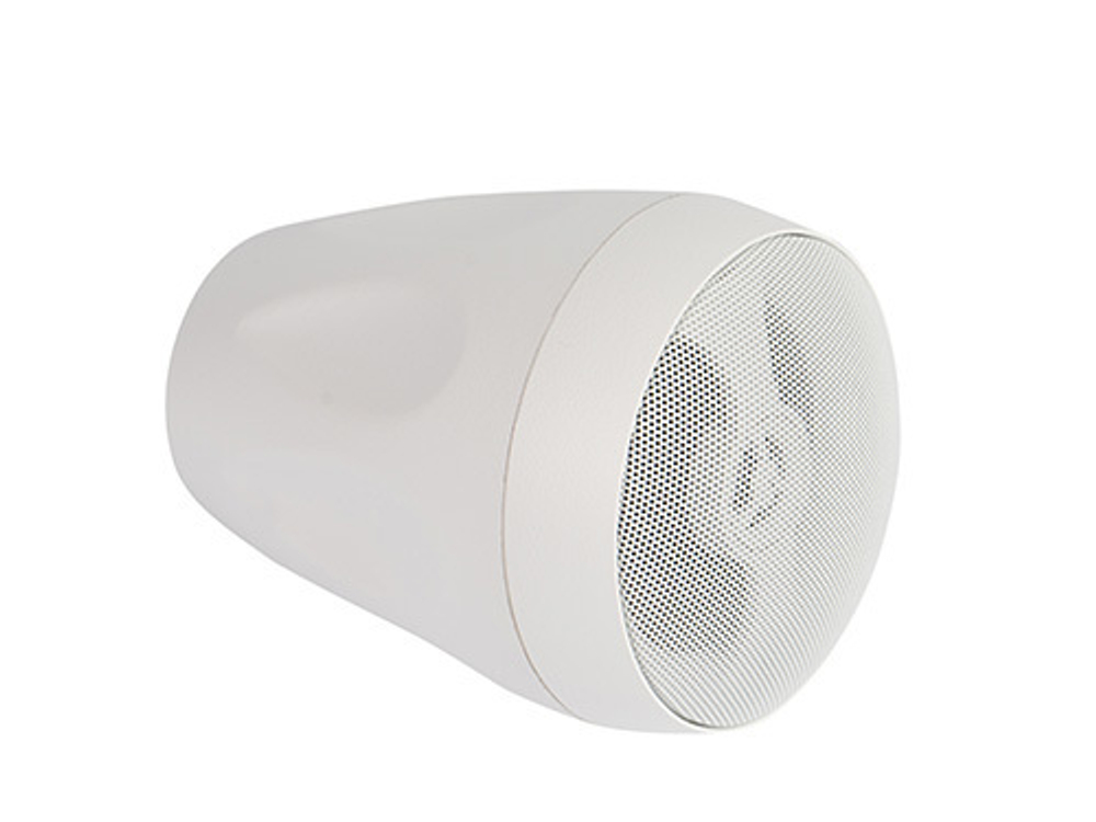 CVGAUDIO CS416TW Подвесная двухполосная колонка