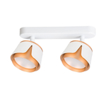 Спот Arte Lamp AMAKS A8028PL-2WH, 2хGX53