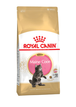 Royal Canin Kitten Мaine Coon