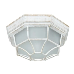 Уличный потолочный светильник Arte Lamp PEGASUS A3121PF-1WG, 1хE27
