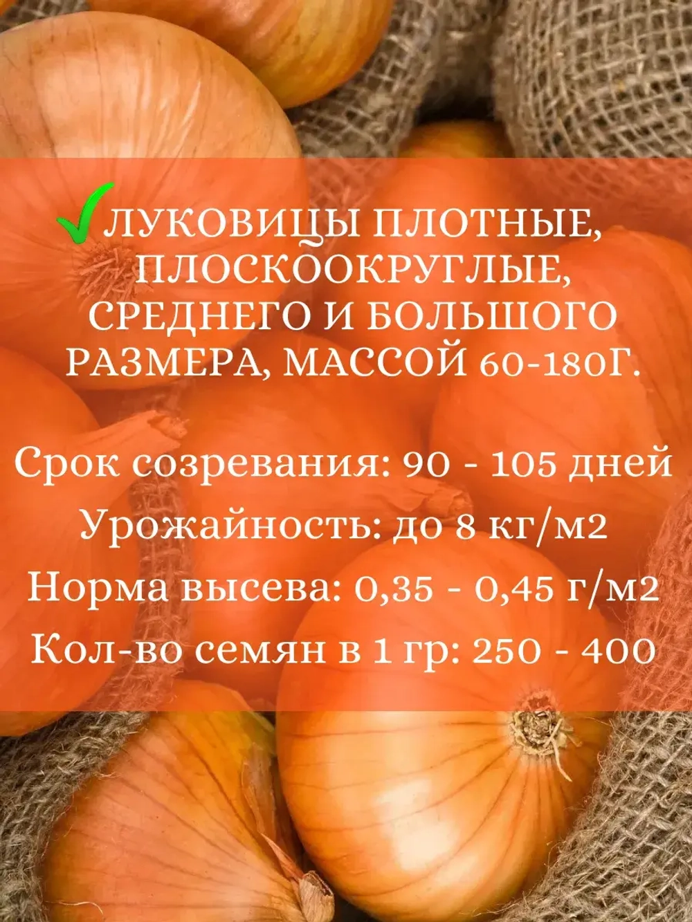 Семена Лук Штуттгартер ризен 10 грамм