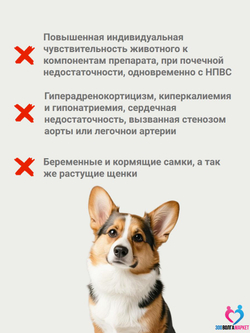 Бикардил 10 мг/80 мг для лечения сердечной недостаточности для собак 20-40 кг, 30 таблеток