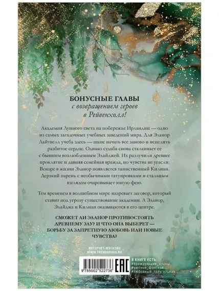 Академия лунного света. Проклятие темных фей