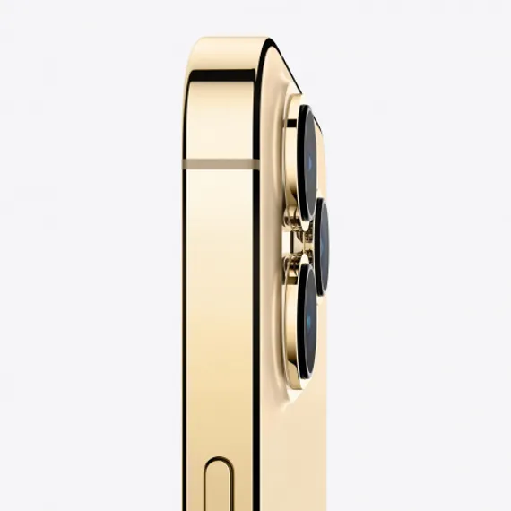 Apple iPhone 13 Pro 1TB Gold (Золотистый)