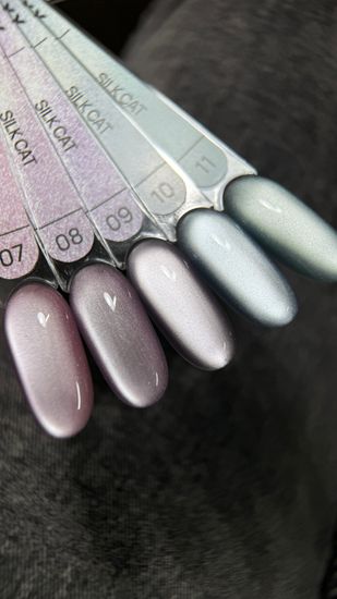 Гель лак Galaxy Silk cat 09, 9г