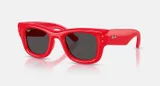 RAY-BAN WAYFARER PUFFER RB4940 683187