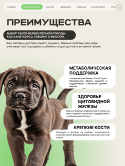Корм сухой для щенков породы Кане корсо, премиум полнорационный комплекс, с ягненком, 2,5 кг, QUATTRO