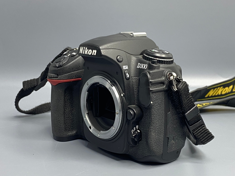 Nikon D300 — 17 000 кадров