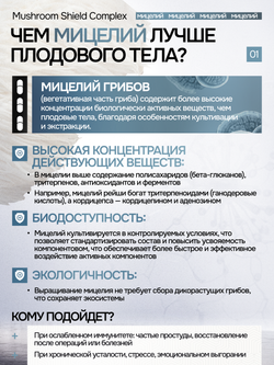 Грибной щит 180 капсул