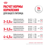 Royal Canin Fit 32 Фит 32 Корм сухой для взрослых умеренно активных кошек от 1 года 15кг