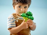 Конструктор LEGO Duplo 10982 Трактор для перевозки овощей и фруктов