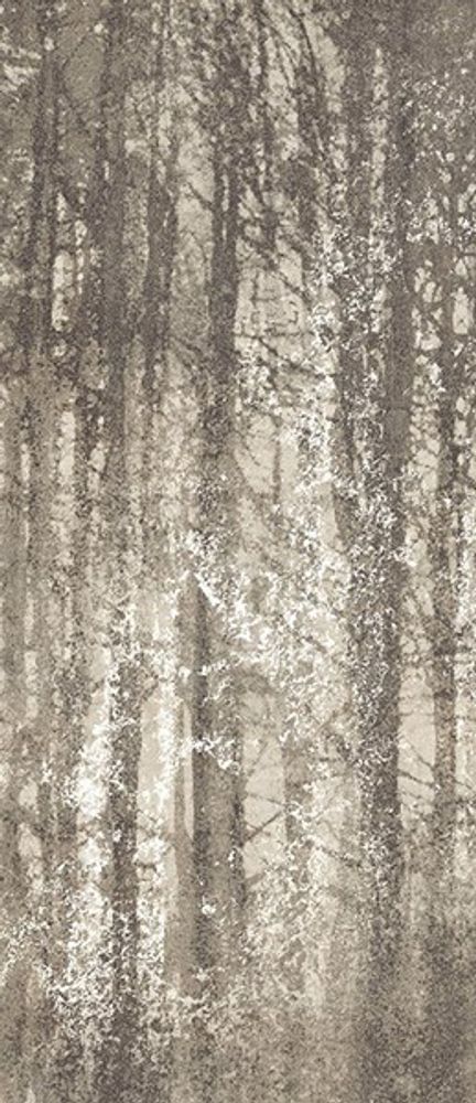 Керамогранит Ylico Wood Fog  (fQWO)