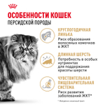 Royal Canin Persian Adult Персиан Эдалт Корм сухой для взрослых кошек породы персидская от 12 месяцев 400г