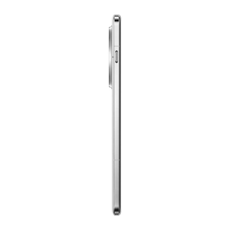 Смартфон OnePlus 13 12/256 Arctic Dawn