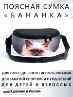 Сумка поясная тканевая бананка для путешествий подарок