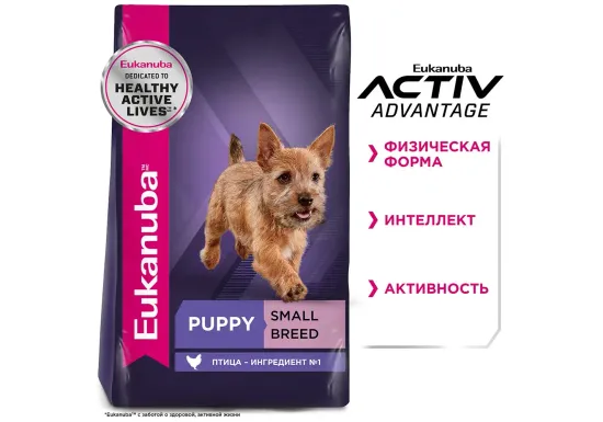 Eukanuba PUPPY SMALL BREED для щенков мелких
