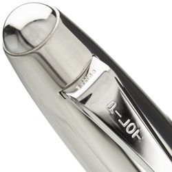 Перьевая ручка Pilot Silver Tiger перо F (FKN-70SR-TR-F)