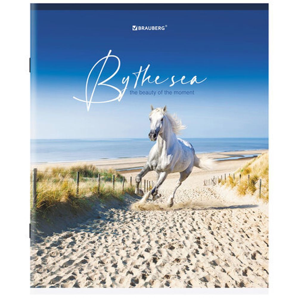 Тетрадь А5, 80 л., BRAUBERG, скоба, клетка, обложка картон, "By the Sea", 404410, 5шт