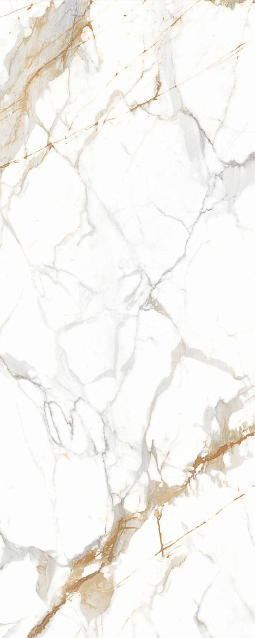 Golden Francesca Shape Ink 120x300