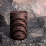 Беспроводная колонка Bang & Olufsen Beosound Explore, Chestnut