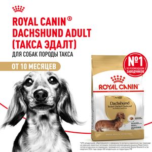 Сухой корм Royal Canin Dachshund Adult для взрослых собак породы Такса от 10 месяцев