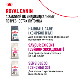 Royal Canin Indoor 7+ Корм сухой полнорационный сбалансированный для стареющих кошек (в возрасте от 7 до 12 лет), живущих в помещении - 1,5 кг