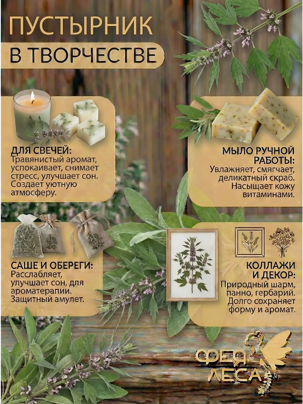 Пустырник трава сушеная для сна и магических свечей