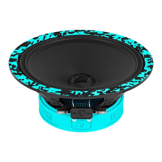 DL Audio Raven 200 V.3