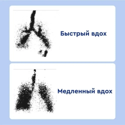 Небулайзер LC SPRINT (синяя и красная насадка), тип 023 сменный год.