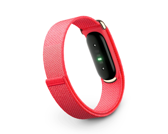 Фитнес-браслет Google Fitbit Air Berry