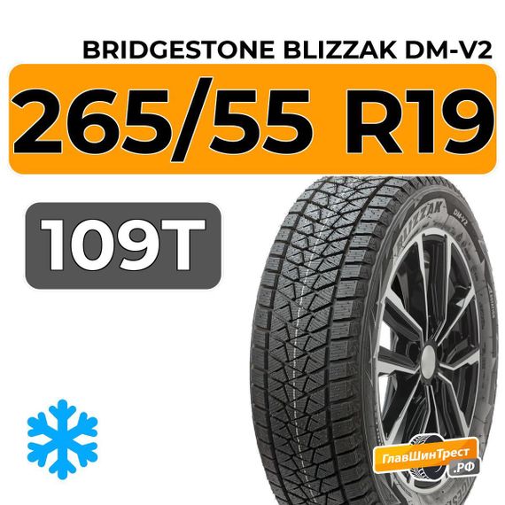 Bridgestone Blizzak DM-V2 265/55 R19 109T