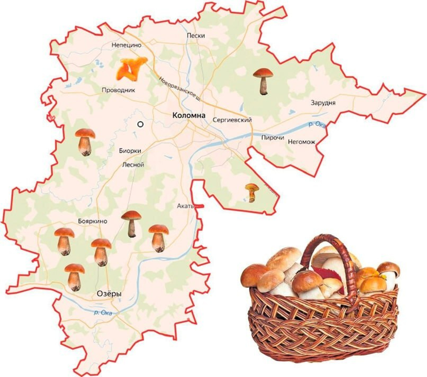 Карта грибных мест Коломны