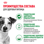 Royal Canin Mini Adult Мини Эдалт Корм влажный для взрослых собак мелких пород от 10 месяцев и старше соус 85г