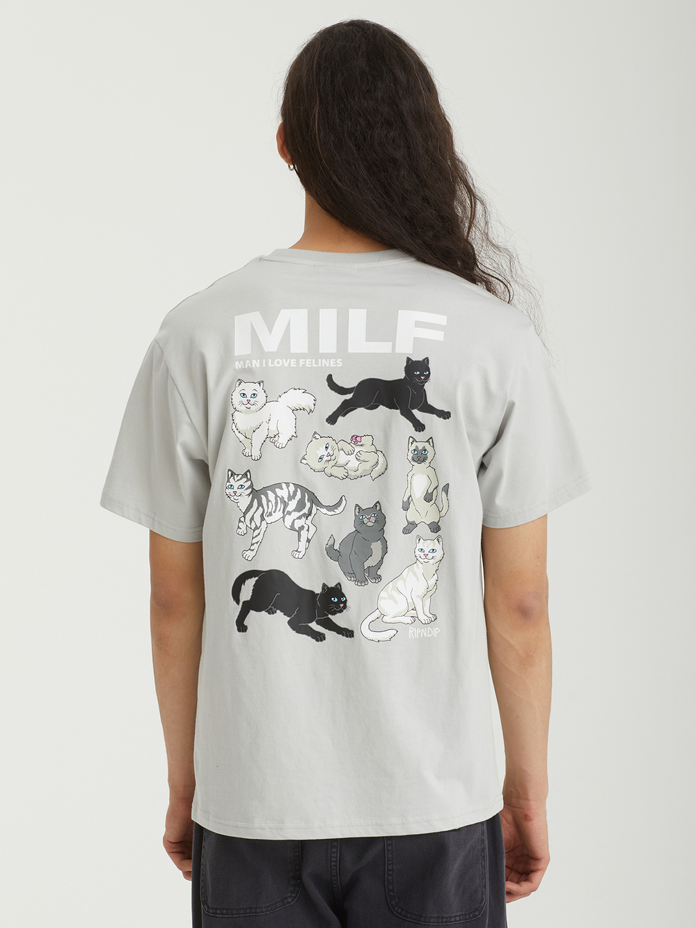 Мужская Футболка MAN I LOVE FELINES