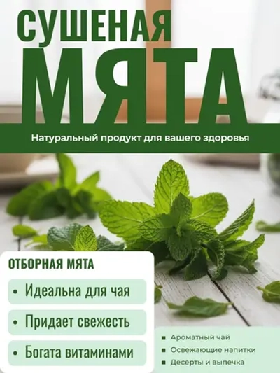 Мята