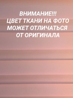 Рулонные шторы День-Ночь 50х120 см