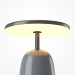 Настольный светодиодный светильник Maytoni Umbra MOD522TL-L6GR3K