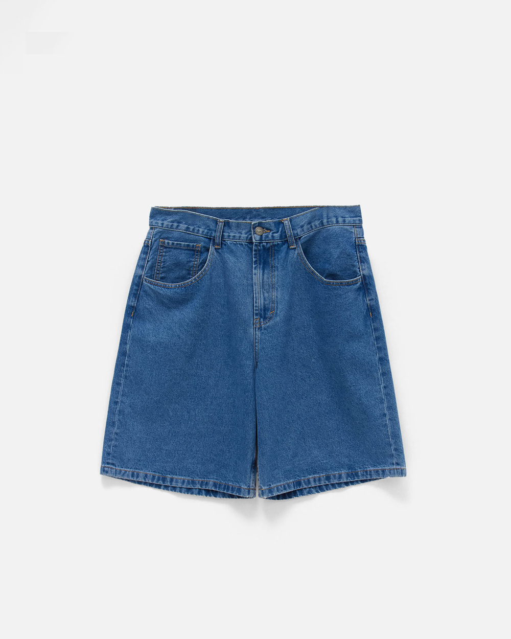 Шорты Anteater BaggyShorts Синий
