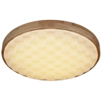 60530-0.2-60W светильник потолочный Reluce, LED