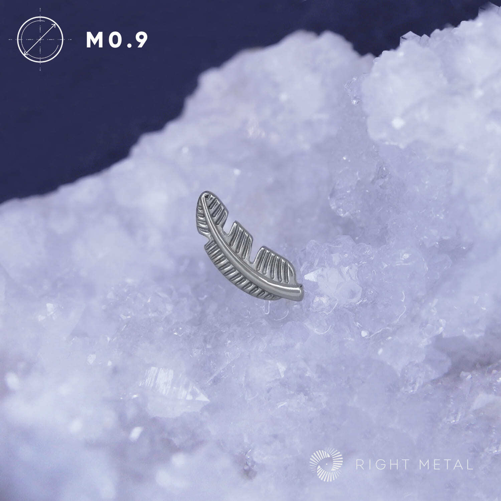 Feather