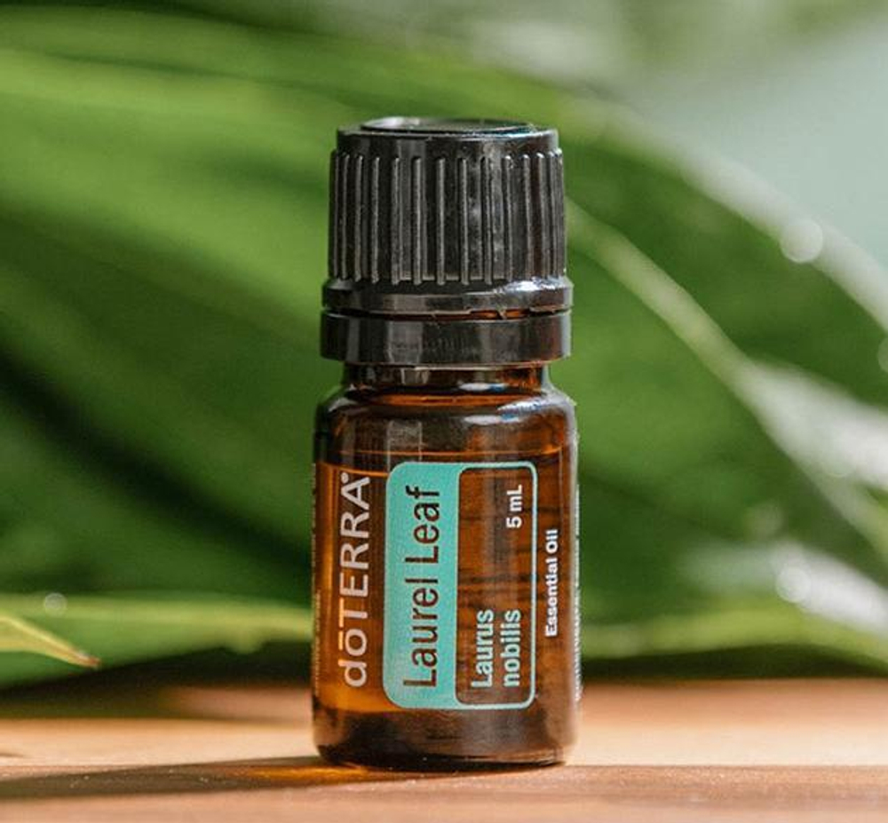 Эфирное масло dōTERRA Лавровый лист, Laurel Leaf, 5 мл