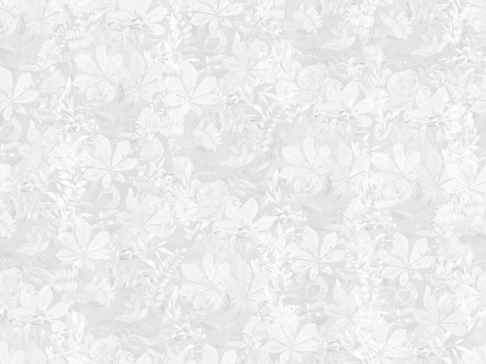 FAIRY FOXES 9