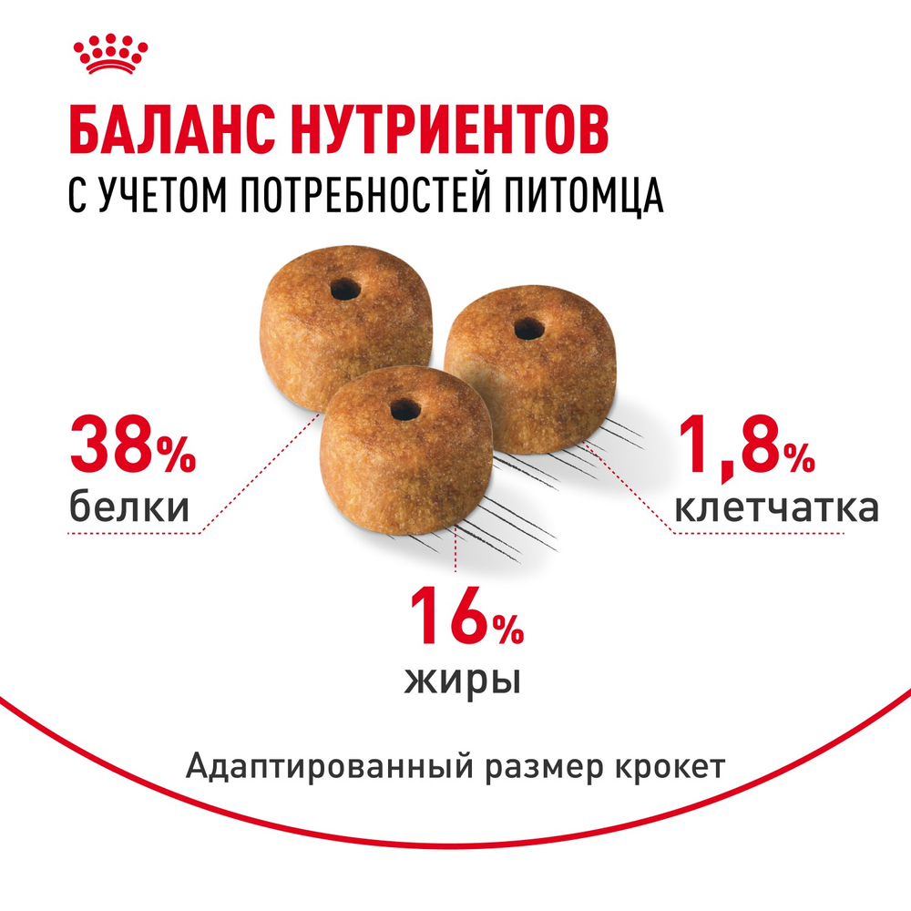 Royal Canin Siamese Adult Сиамиз Эдалт Корм сухой сбалансированный для взрослых сиамских кошек 2кг